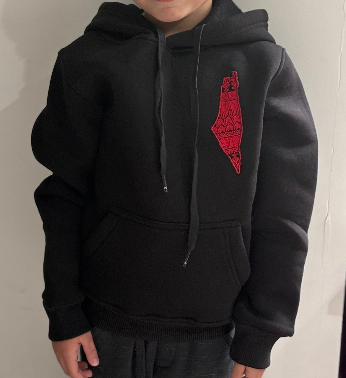 Unisex Black Kids Hoodie With Palestine Map Embroidery (Age: 2-12 years)