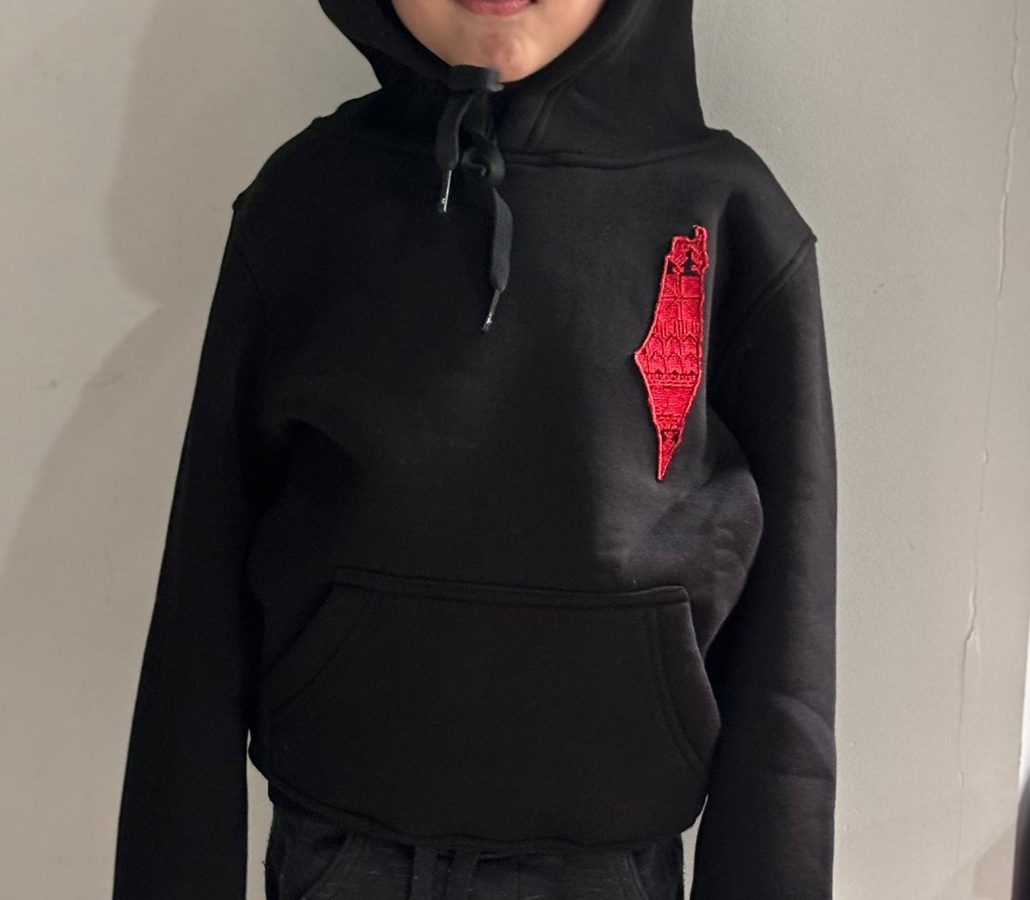 Unisex Black Kids Hoodie With Palestine Map Embroidery (Age: 2-12 years)